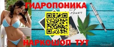 jwh Тара
